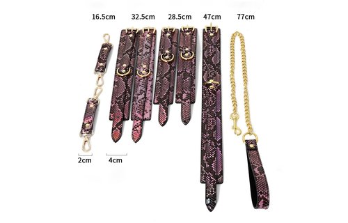 BDSM Set Gold Reptile Print Vegan PVC Leather Neon Pink