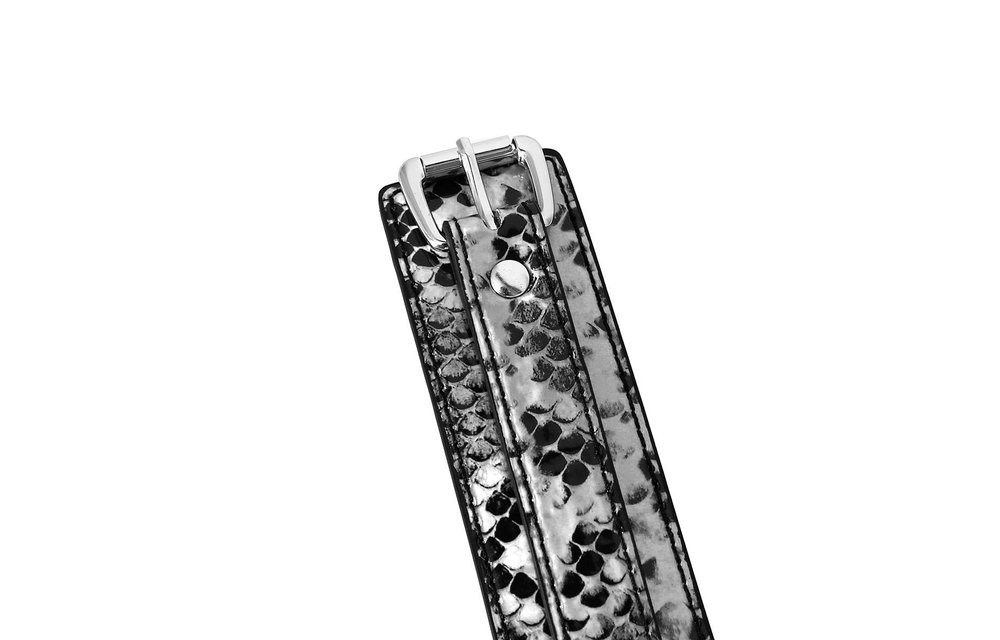 Black Silver Reptile Print Collar with Leash PVC Leather