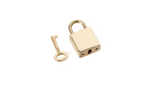 Smal Goud Roze Reptielen Print Collar – Vegan PVC BDSM