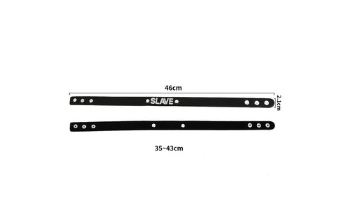 Hoge Kwaliteit PVC Halsband met SLAVE Naamplaatje