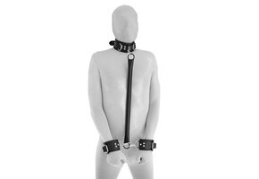 Spreizstange mit Lederhandschellen und Collar