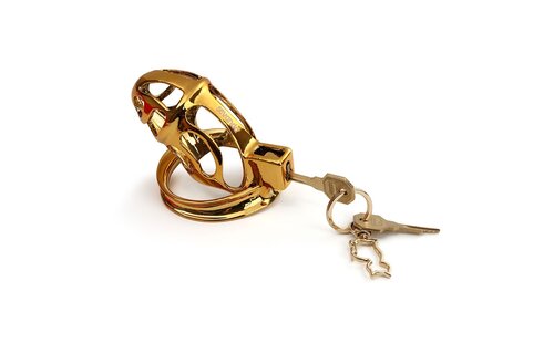 SEVANDA Gold Urethral Chastity Cage – Luxury BDSM Accessory