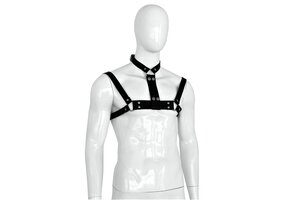 Männliches Lederhalsband und Brustgurt