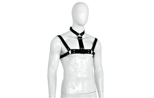 Leather Collar and Chest Strap for Men – Stylish & Cool