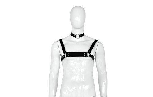 Leather Collar and Chest Strap for Men – Stylish & Cool