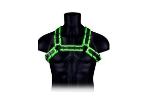 Bulldog Harness with Buckle