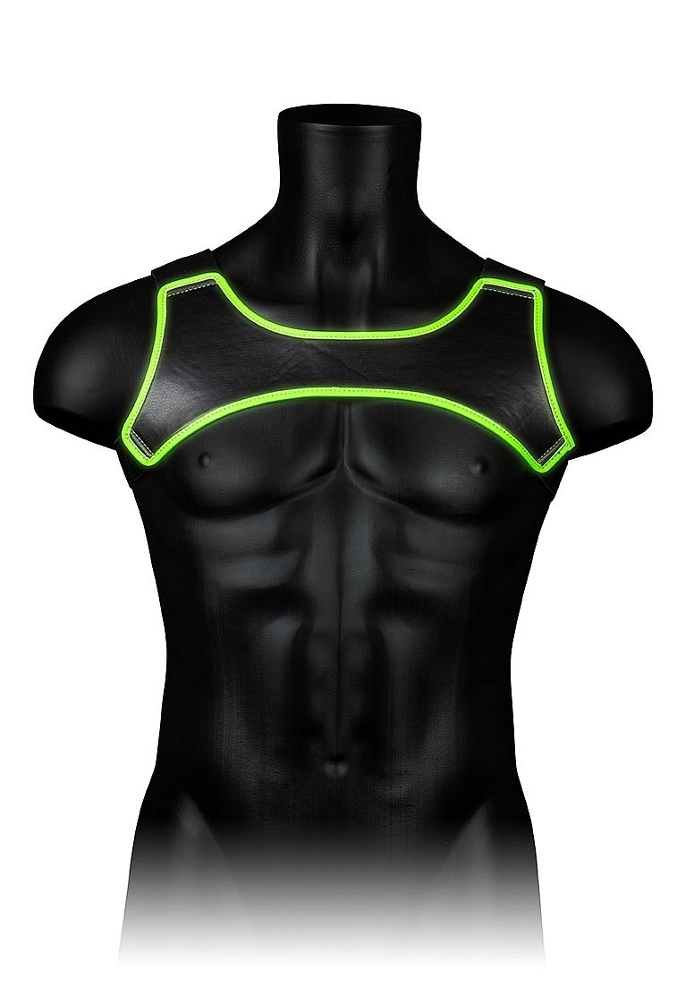Neoprene Harness