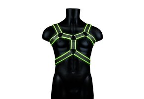 Body Harness