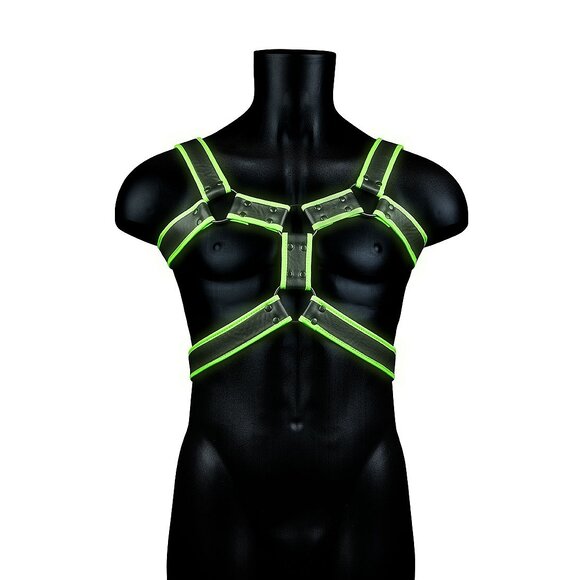 Body Harness