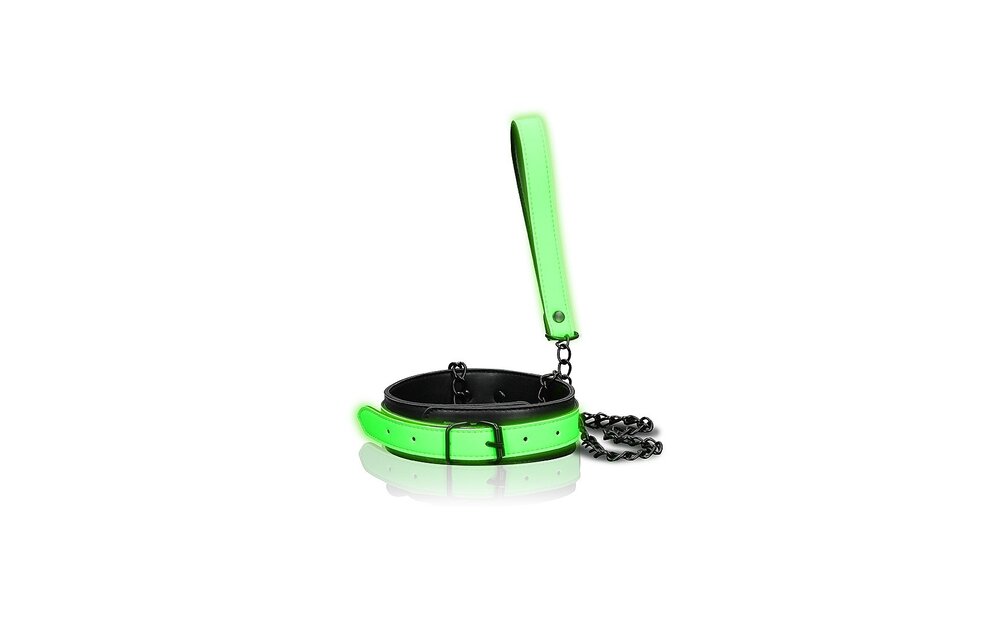 Collar en Leash