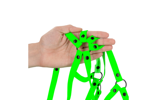 Body-Covering Harness