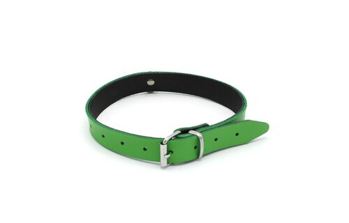 Leren Collar Mini O-Ring Groen
