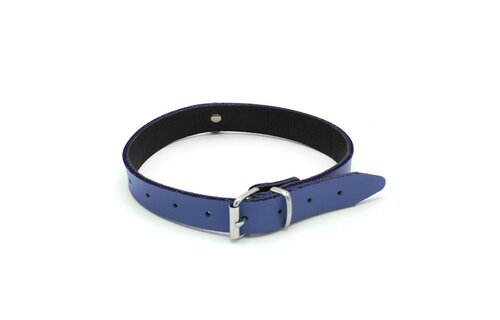 Lederhalsband Mini-O-Ring Blau | Luxuriöses BDSM-Halsband 49 cm