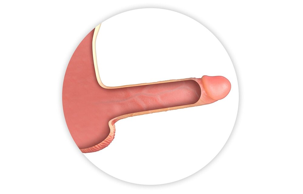 Real Manly Hollow Realistic Dildo Body Suit – REAL BODY