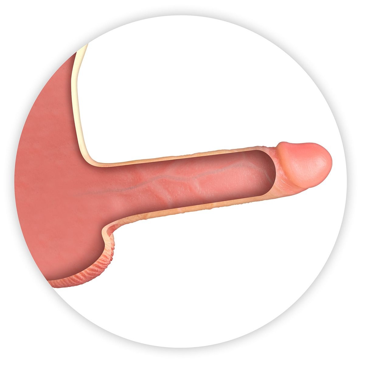 Real Manly Hollow Realistic Dildo Body Suit