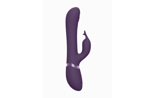 Vive Etsu Luxus-Vibrator Lila – 3 Motoren & 4 Klitoris-Hüllen