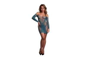 Long-Sleeved Net Mini Dress - One Size