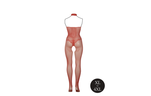 Sexy Visnet & Kant Bodystocking Xl-4Xl | Le Désir Damesmaat