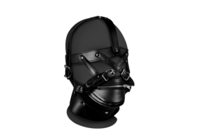 Head Harness with Zip-up Mouth and Lock