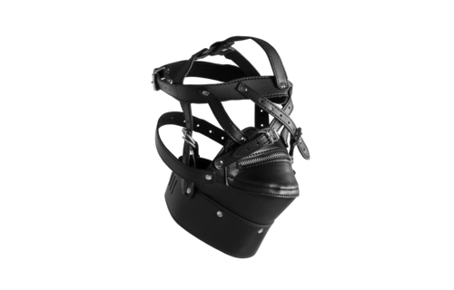 Head Harness with Zip-up Mouth and Lock