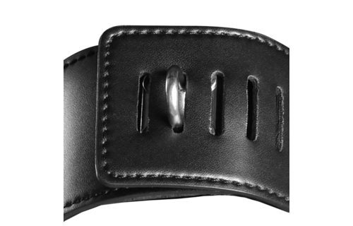 Head Harness with Zip-up Mouth and Lock