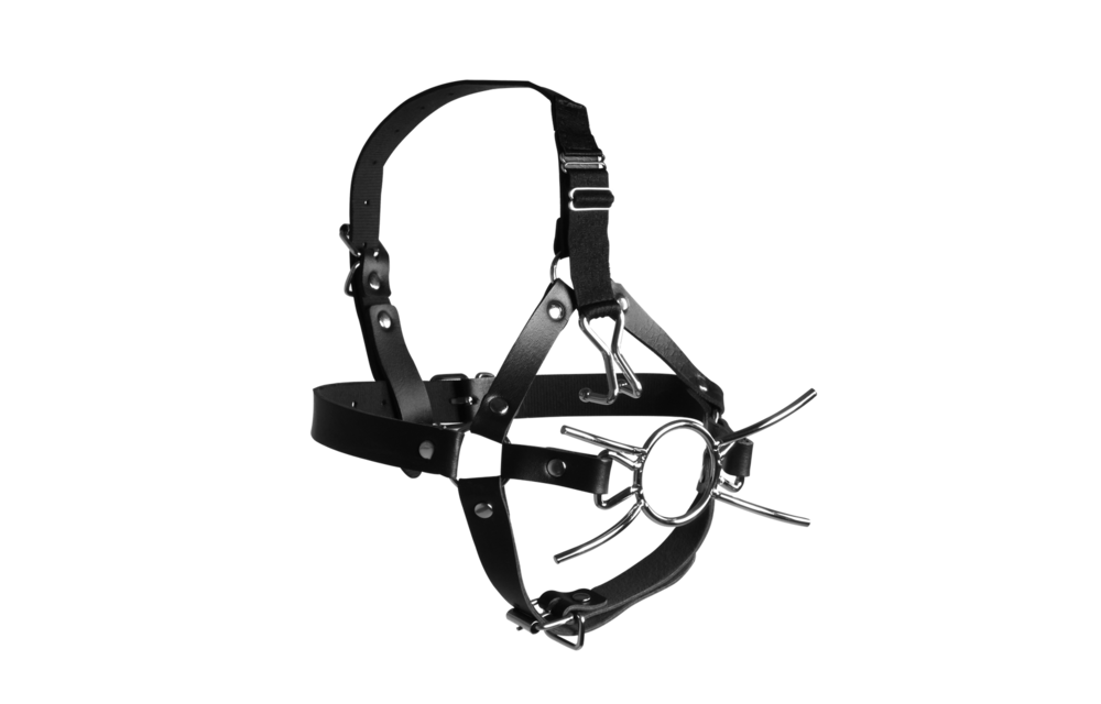 Kopfgeschirr mit Spider Gag & Nasenhaken – Cool & sicher