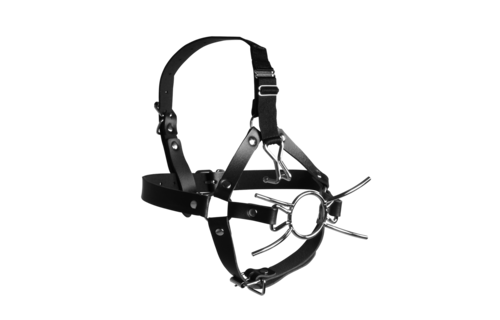 Head Harness With Spider Gag & Nose Hooks – Tough & Safe