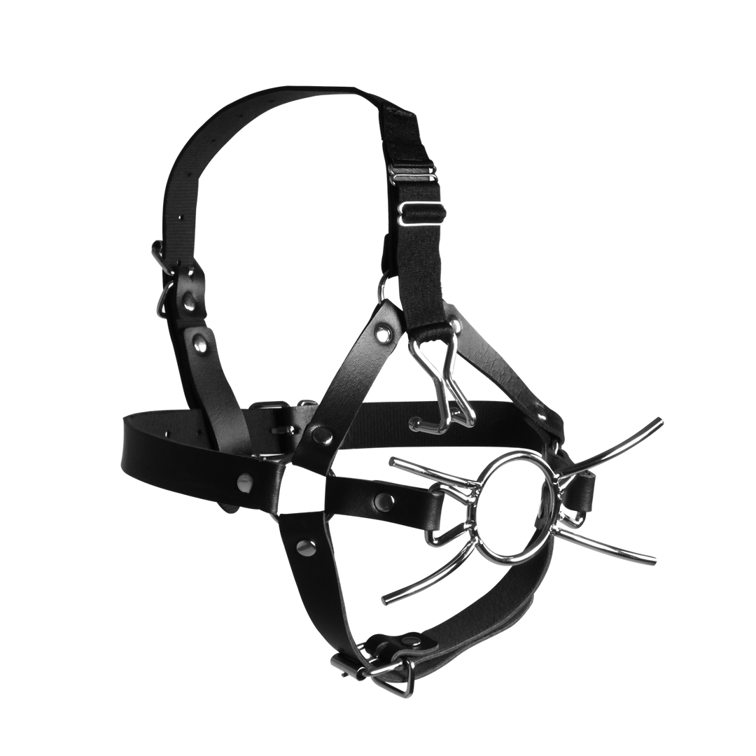 Head Harness with Spider Gag and Nose Hooks