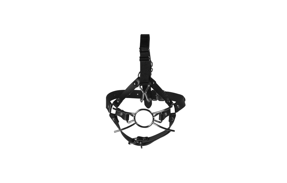 Head Harness with Spider Gag and Nose Hooks