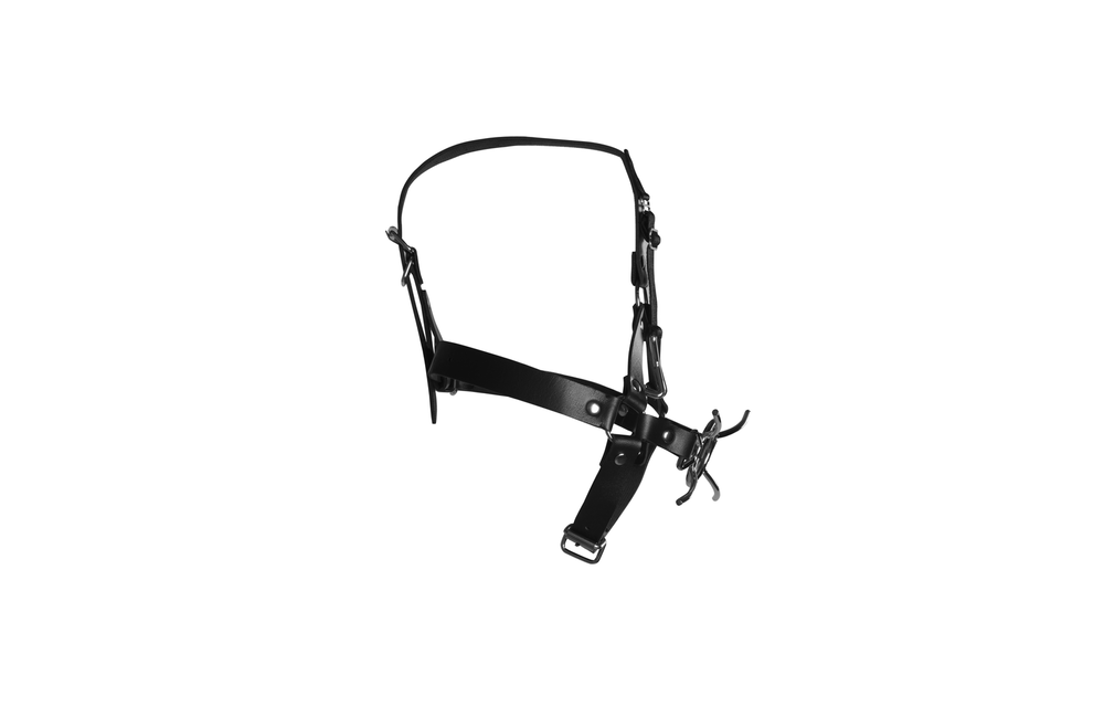 Kopfgeschirr mit Spider Gag & Nasenhaken – Cool & sicher