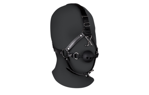 Head Harness with Breathable Ball Gag and Nose Hooks