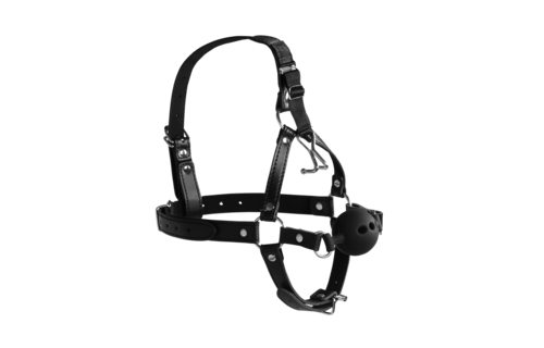 Head Harness with Breathable Ball Gag and Nose Hooks