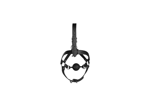 Head Harness with Breathable Ball Gag and Nose Hooks