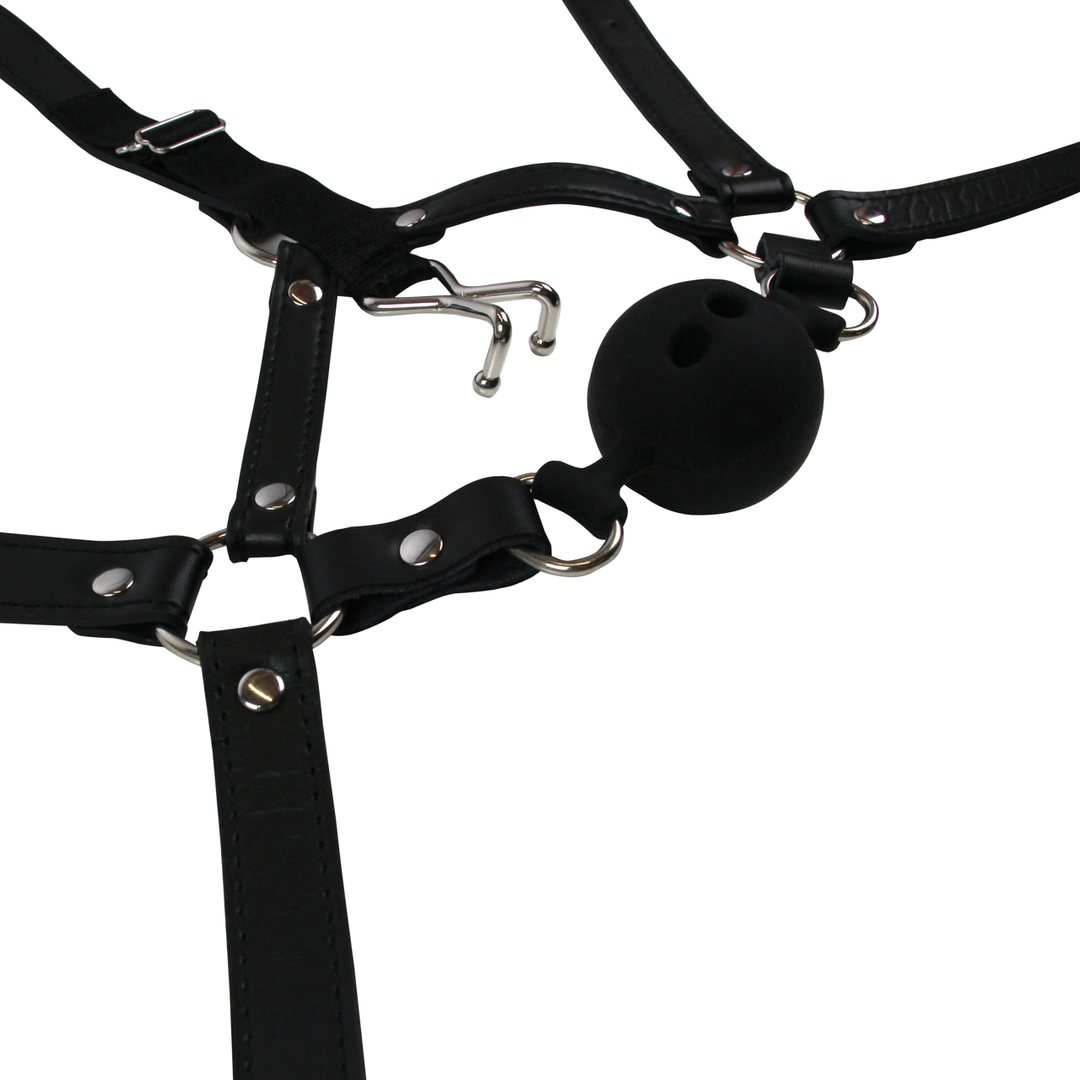 Head Harness with Breathable Ball Gag and Nose Hooks