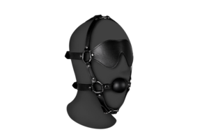 Blindfolded Head Harness with Solid Ball Gag