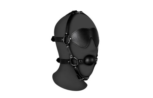 Blindfolded Head Harness with Solid Ball Gag