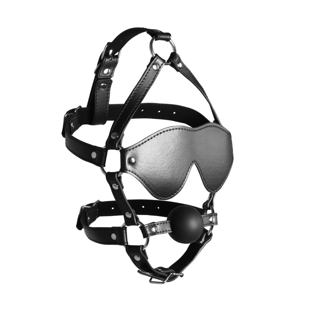 Geblinddoekt hoofdharnas met bal knevel