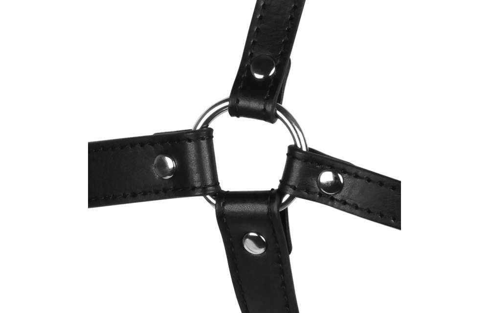 Blindfolded Head Harness with Solid Ball Gag