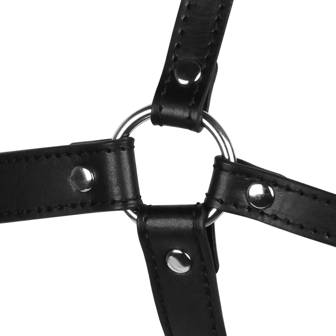 Blindfolded Head Harness with Ball Gag – Sensation & Intimacy