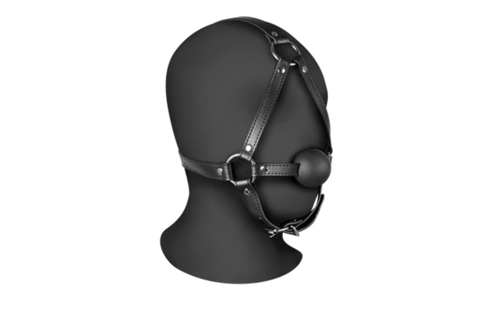 Head Harness with Solid Ball Gag
