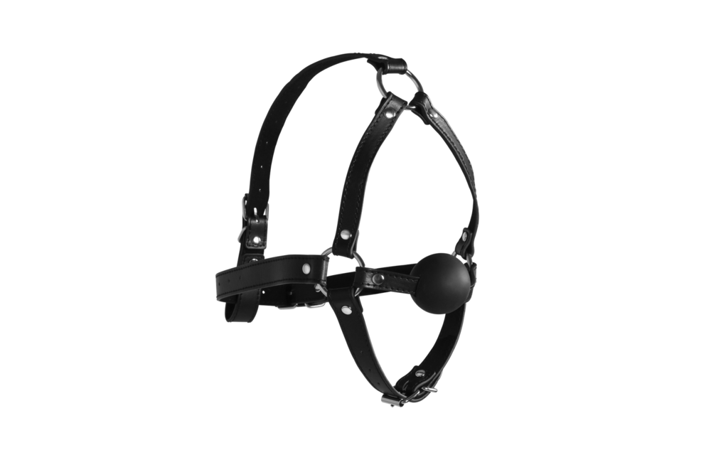 Head Harness with Solid Ball Gag
