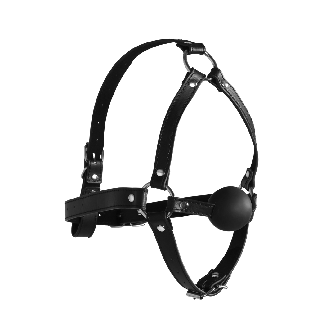 Head Harness with Solid Ball Gag