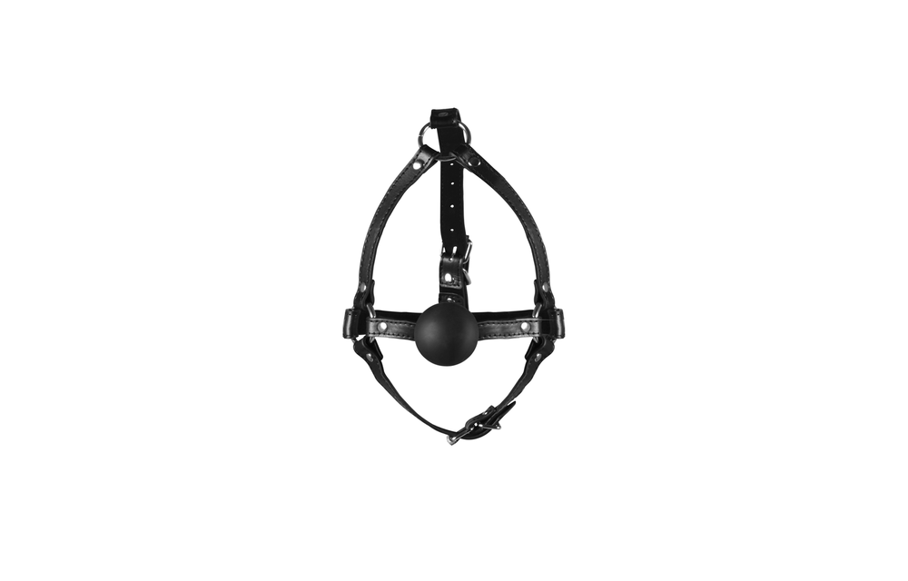 Head Harness with Solid Ball Gag