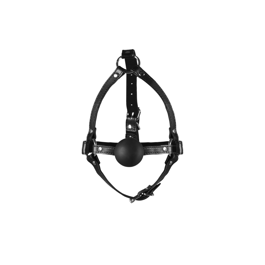 Head Harness with Solid Ball Gag