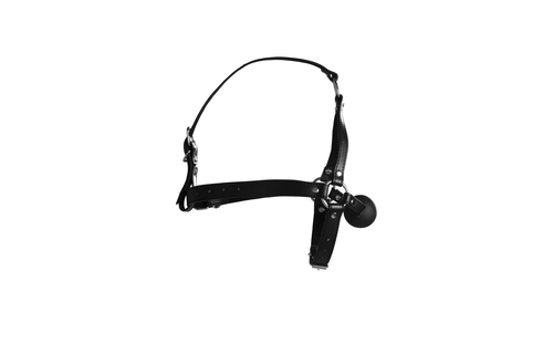 Head Harness with Solid Ball Gag