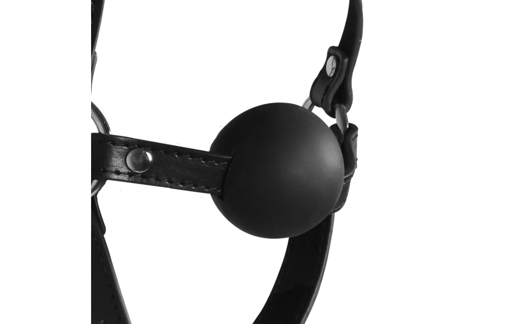 Head Harness with Solid Ball Gag