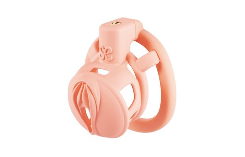 Pink Pride Chastity Cage Long