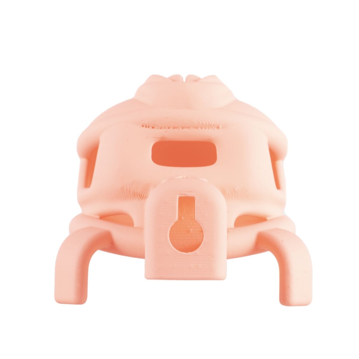 Pink Pride Chastity Cage Long