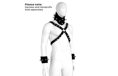 Lederen gevoerde Collar Spikey Nuts