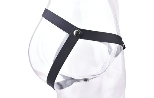 Male to Female Chastity Plate with Belt